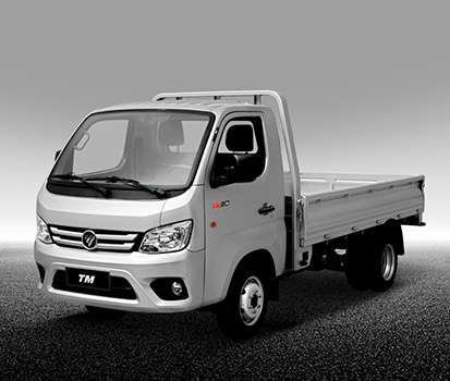 FOTON TM